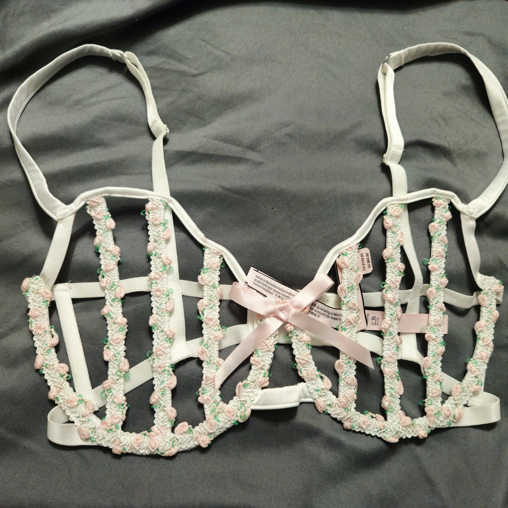 Victoria's Secret Dream Angels Secret Garden White and Pink Embroidered Bra
